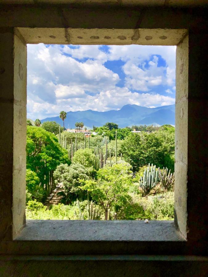 Beautiful Apartment In Oaxaca City'S Best Location Buitenkant foto