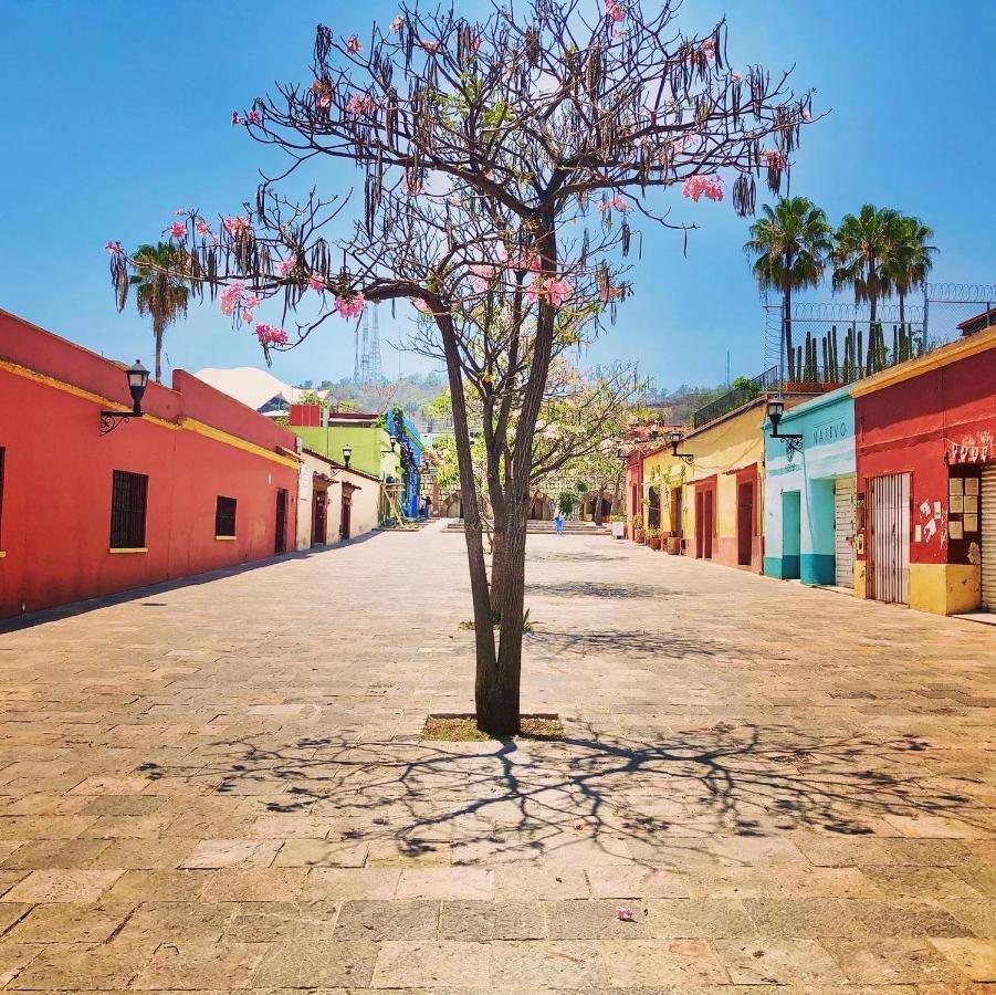 Beautiful Apartment In Oaxaca City'S Best Location Buitenkant foto