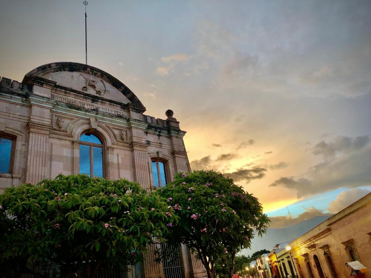 Beautiful Apartment In Oaxaca City'S Best Location Buitenkant foto